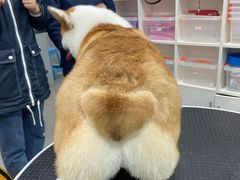 -萌兽医馆·宠物医院·猫骨科(创景店)