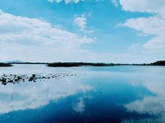 -苏州太湖湖滨国家湿地公园