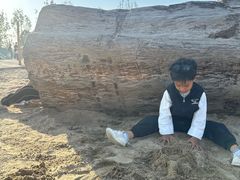 -西安汉城湖景区