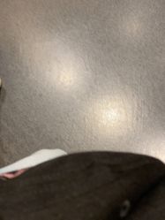 -G-STEPS舞蹈工作室