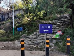 -阳台山自然风景区