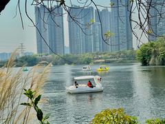-广东花都湖国家湿地公园