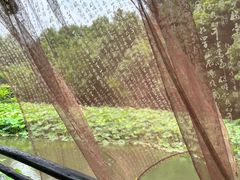 -兰亭风景区