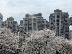 -西北湖绿化广场