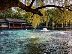 -百脉泉景区