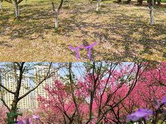 -白塘生态植物园