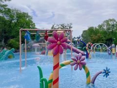 -苏州乐园森林水世界