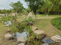 -上海长兴岛郊野公园