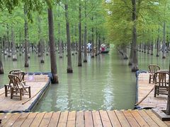 -泗洪洪泽湖湿地景区