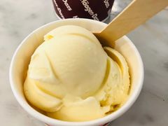 香草单球-哈根达斯(青岛海信店)