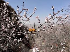 -鸡鸣山旅游风景区