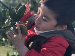 -前小桔亲子创意农场·草莓采摘·露营烧烤