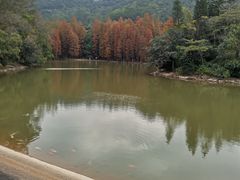 -滴水岩森林公园