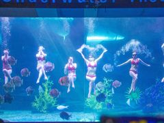 -泉城欧乐堡海洋极地世界