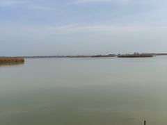 -盐城丹顶鹤湿地生态旅游区