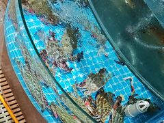-蓝珊甄选海鲜自助·火锅大排档(近阿那亚店)