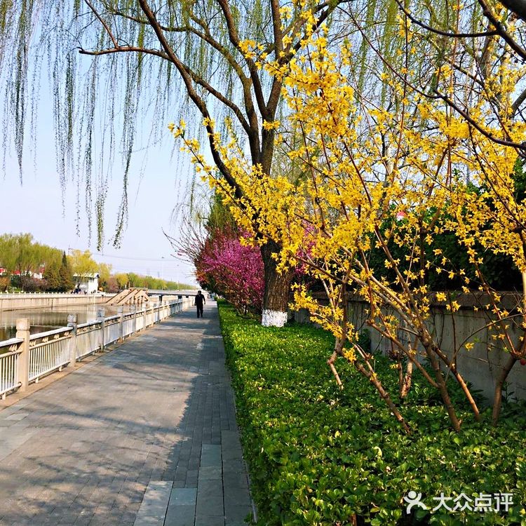 北京绿道，顾名思义，北京的绿色道路。不去深究其定义