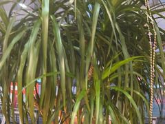 -惠友大虾(太原北街店)