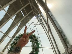 -大塘金香草谷
