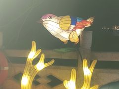 -淄博花灯齐彩城