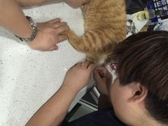伟伟宠物医院-伟伟宠物医院·CT影像中心·瑞派犬猫综合性门诊(汉口总院)