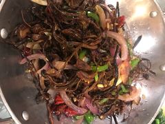干锅茶树菇-华光驿站私房菜·黑金冠
