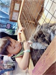 -酷嗒动物文化乐园(cutezoo西溪乐天城店)