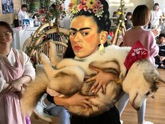 -Husky Go! 哈士奇体验馆·宠物咖啡厅狗咖