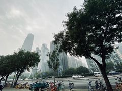 -中央广播电视总台(光华路办公区)