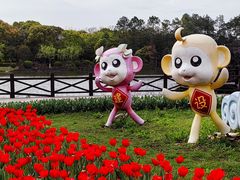 -上海鲜花港