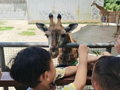 -泉州海丝野生动物世界