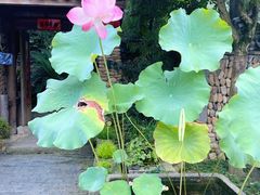 -临江宴餐厅·桐庐菜(富春江店)
