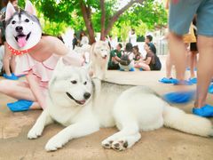 -TrueLove @ Neverland (Husky Cafe)
