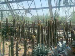 -南山植物园