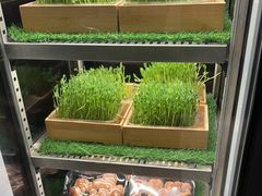 -捞王锅物料理(金华义乌之心店)