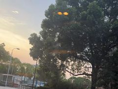 -必胜客(金高店)