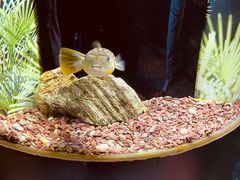 -上海海洋水族馆