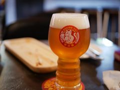 -Boxing Cat Brewery拳击猫精酿啤酒馆(永福店)
