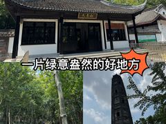 -上海佘山国家森林公园天马山园