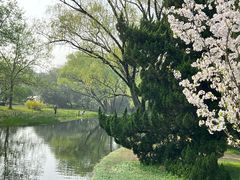 -上海共青森林公园