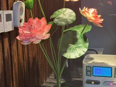 -臻享养生·SPA·影院式足道(汇臻店)