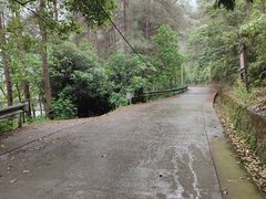 -缙云山景区
