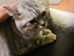 -H立方实景剧情密室(天河旗舰店)