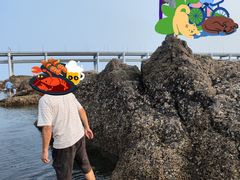 -黑石礁公园