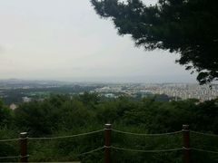 -汉拿树木园