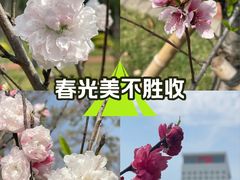 -福州大学(旗山校区)
