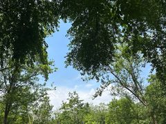 -沈阳植物园