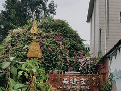 -品德宏·孔雀宴的发源地(金塔园店)