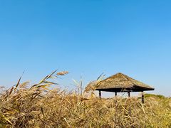 -西青郊野公园