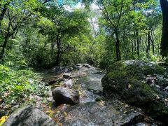 -玉渡山自然风景区